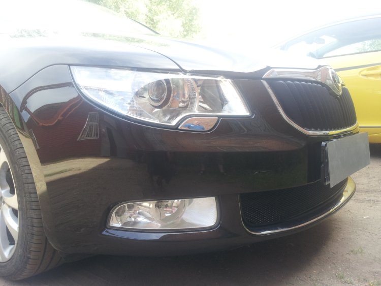 Сетка защитная в бампер Premium черный Strelka Skoda Superb II 2008-2015 no.6404