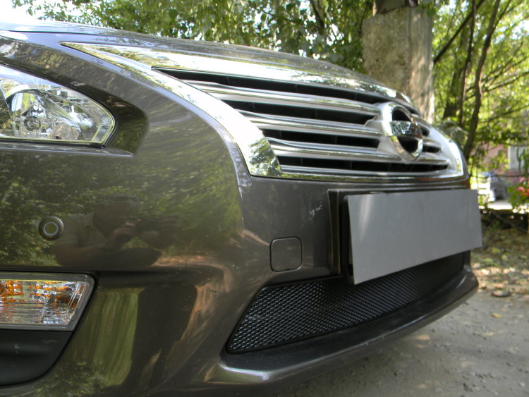 Сетка защитная в бампер Premium черный Strelka Nissan Teana 2013-2019 no.6462