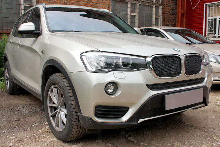 Сетка защитная в бампер Premium черный Strelka BMW X3 (F25) 2010-2017 12603
