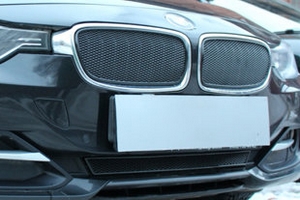 Сетка защитная в бампер Premium черный Strelka BMW 3 (F30) 2012-2019 ― Auto-Clover