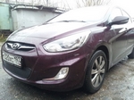 Сетка защитная в бампер Premium черный Strelka Hyundai Solaris 2011-2017