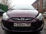 Сетка защитная в бампер Premium черный Strelka Hyundai Solaris 2011-2017