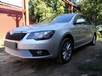 Сетка защитная в бампер Premium хром Strelka Skoda Superb II 2008-2015