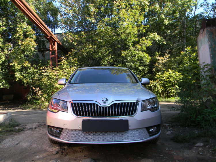 Сетка защитная в бампер Premium хром Strelka Skoda Superb II 2008-2015 no.6403