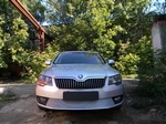 Сетка защитная в бампер Premium хром Strelka Skoda Superb II 2008-2015