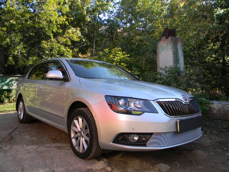 Сетка защитная в бампер Premium хром Strelka Skoda Superb II 2008-2015 no.6403