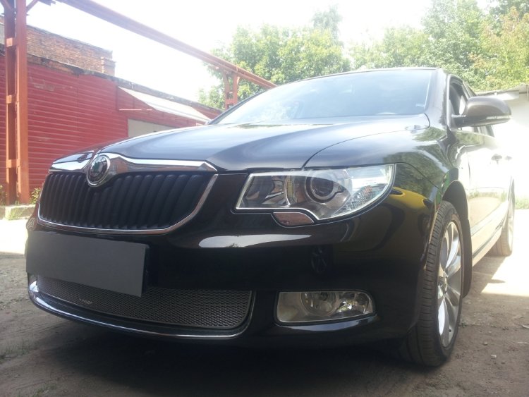 Сетка защитная в бампер Premium хром Strelka Skoda Superb II 2008-2015 no.6405