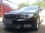 Сетка защитная в бампер Premium хром Strelka Skoda Superb II 2008-2015