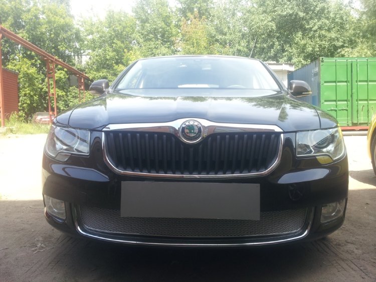 Сетка защитная в бампер Premium хром Strelka Skoda Superb II 2008-2015 no.6405