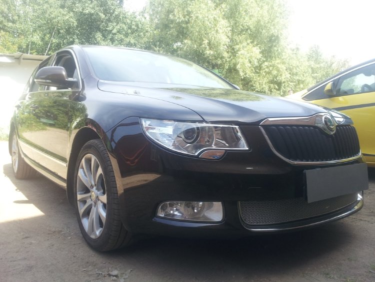 Сетка защитная в бампер Premium хром Strelka Skoda Superb II 2008-2015 no.6405