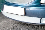 Сетка защитная в бампер Premium хром Strelka Chrysler Voyager 2001-2008