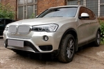 Сетка защитная в бампер Premium хром Strelka BMW X3 (F25) 2010-2017