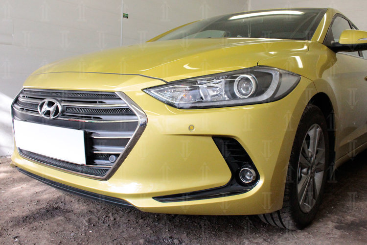 Сетка защитная в бампер Standart черный Strelka Hyundai Elantra 2016-2019 no.1965