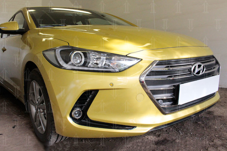 Сетка защитная в бампер Standart черный Strelka Hyundai Elantra 2016-2019 no.1965