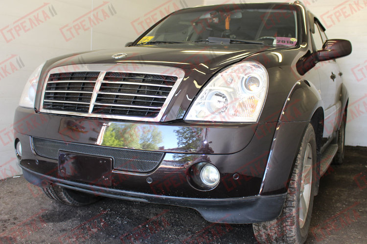 Сетка защитная в бампер Standart черный Strelka SsangYong Rexton 2001-2015 no.3360
