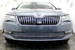 Сетка защитная в бампер Standart черный Strelka Skoda Superb III 2015-2019