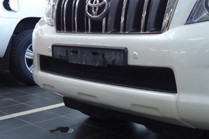 Сетка защитная в бампер Standart черный Strelka Toyota Land Cruiser Prado 150 2010-2019 ― Auto-Clover