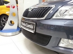 Сетка защитная в бампер Standart черный Strelka Skoda Octavia II 2005-2013