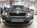 Сетка защитная в бампер Standart черный Strelka Skoda Octavia II 2005-2013