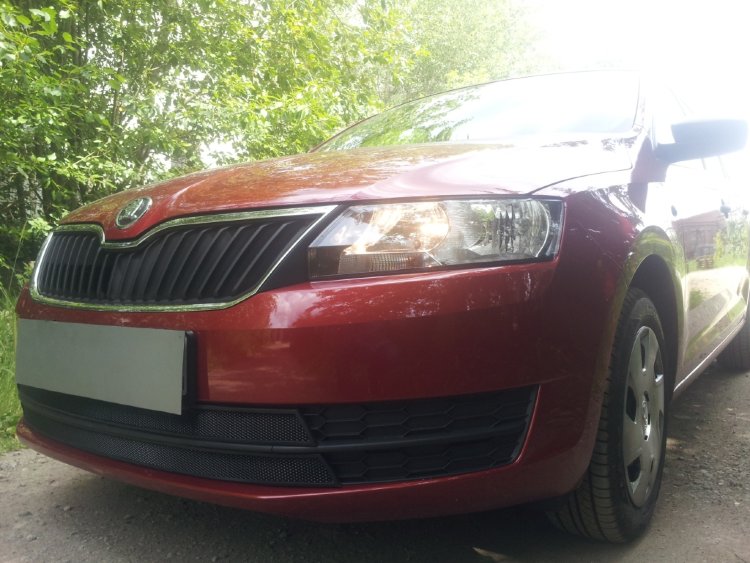 Сетка защитная в бампер Standart черный Strelka Skoda Rapid 2012-2019 no.5828