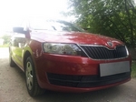 Сетка защитная в бампер Standart черный Strelka Skoda Rapid 2012-2019