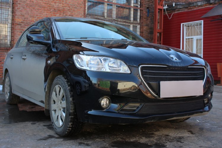 Сетка защитная в бампер Standart черный Strelka Peugeot 301 2012-2019 13429
