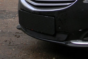 Сетка защитная в бампер Standart черный Strelka Opel Insignia 2008-2019 ― Auto-Clover