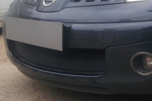 Сетка защитная в бампер Standart черный Strelka Nissan Note I 2005-2013 ― Auto-Clover