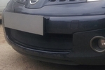 Сетка защитная в бампер Standart черный Strelka Nissan Note I 2005-2013