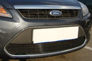 Сетка защитная в бампер Standart черный Strelka Ford Focus II 2005-2010 ― Auto-Clover