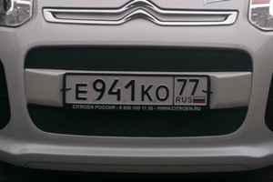 Сетка защитная в бампер Standart черный Strelka Citroen C3 Picasso 2009-2019 ― Auto-Clover