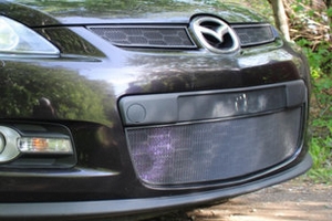 Сетка защитная в бампер Standart черный Strelka Mazda CX-7 2006-2012 ― Auto-Clover
