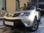 Сетка защитная в бампер Standart черный Strelka Toyota RAV4 2013-2019