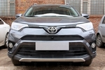 Сетка защитная в бампер Standart черный Strelka Toyota RAV4 2013-2019