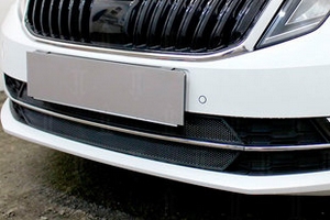 Сетка защитная в бампер Standart черный Strelka Skoda Octavia III 2013-2019 ― Auto-Clover
