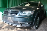 Сетка защитная в бампер Standart черный Strelka Skoda Octavia III 2013-2019