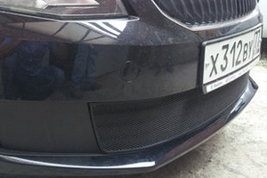 Сетка защитная в бампер Standart черный Strelka Skoda Octavia III 2013-2019 ― Auto-Clover