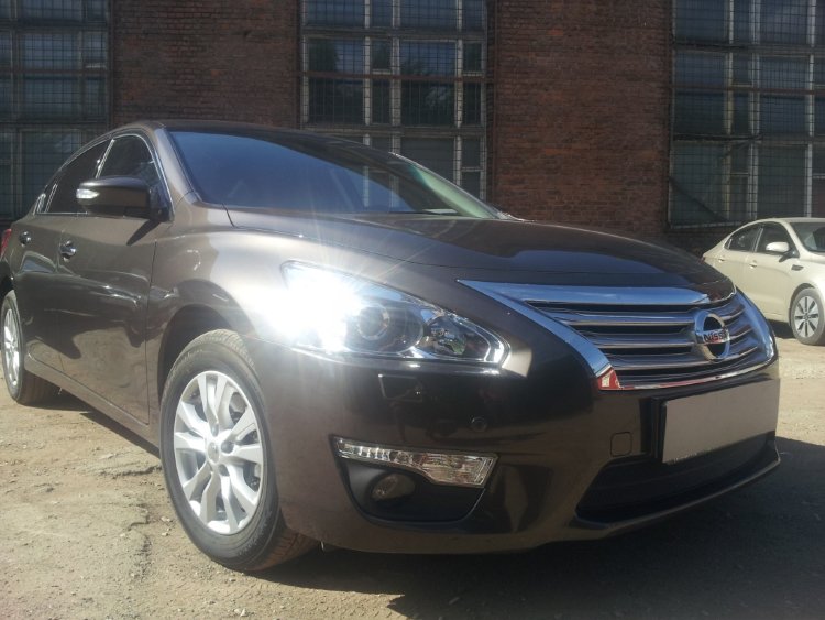 Сетка защитная в бампер Standart черный Strelka Nissan Teana 2013-2019 no.6458