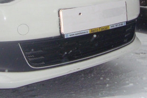 Сетка защитная в бампер Standart черный Strelka Volkswagen Polo V 2009-2019 ― Auto-Clover