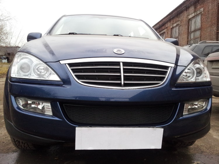 Сетка защитная в бампер Standart черный Strelka SsangYong Kyron 2005-2015 no.6724