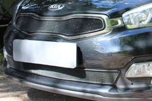 Сетка защитная в бампер Standart черный Strelka KIA Ceed 2012-2018 ― Auto-Clover