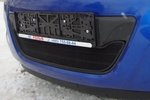 Сетка защитная в бампер Standart черный Strelka Hyundai i20 2008-2014
