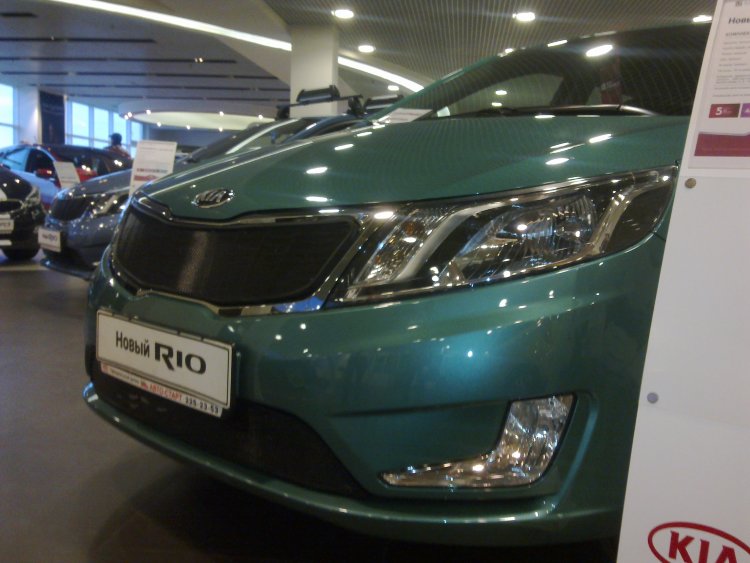 Сетка защитная в бампер Standart черный Strelka KIA Rio 2011-2017 12509