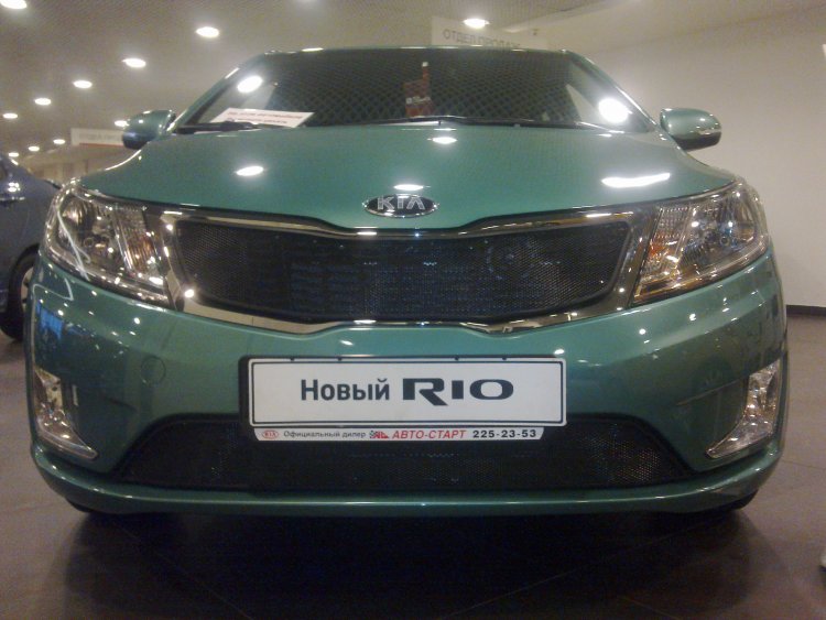 Сетка защитная в бампер Standart черный Strelka KIA Rio 2011-2017 12509