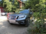 Сетка защитная в бампер Standart хром Strelka Nissan Terrano 2014-2019