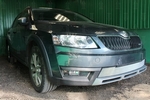 Сетка защитная в бампер Standart хром Strelka Skoda Octavia III 2013-2019