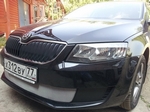 Сетка защитная в бампер Standart хром Strelka Skoda Octavia III 2013-2019
