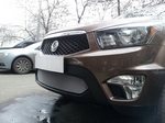 Сетка защитная в бампер Standart хром Strelka SsangYong Actyon Sports 2006-2015
