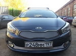 Сетка защитная в бампер Standart хром Strelka KIA Ceed 2012-2018