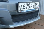 Сетка защитная в бампер Standart Strelka Suzuki SX4 2006-2012